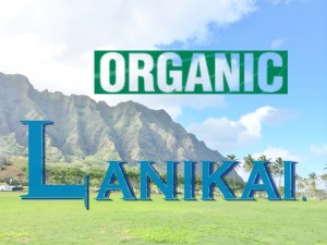 lanikuaroa